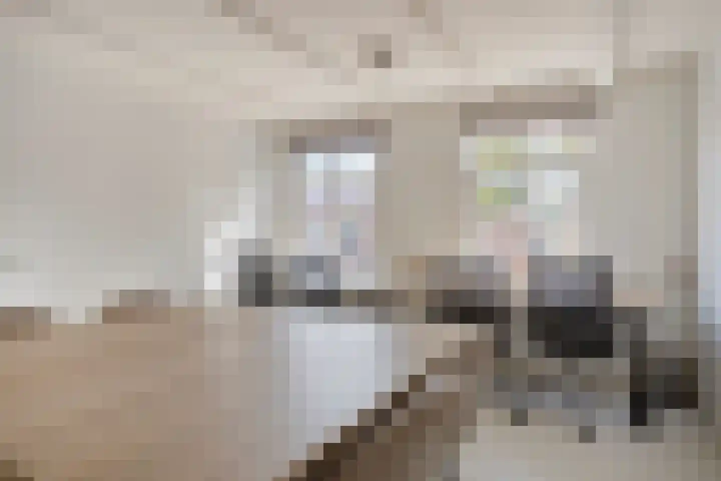 Voorstraat 31 Middelharnis thumbnail 14