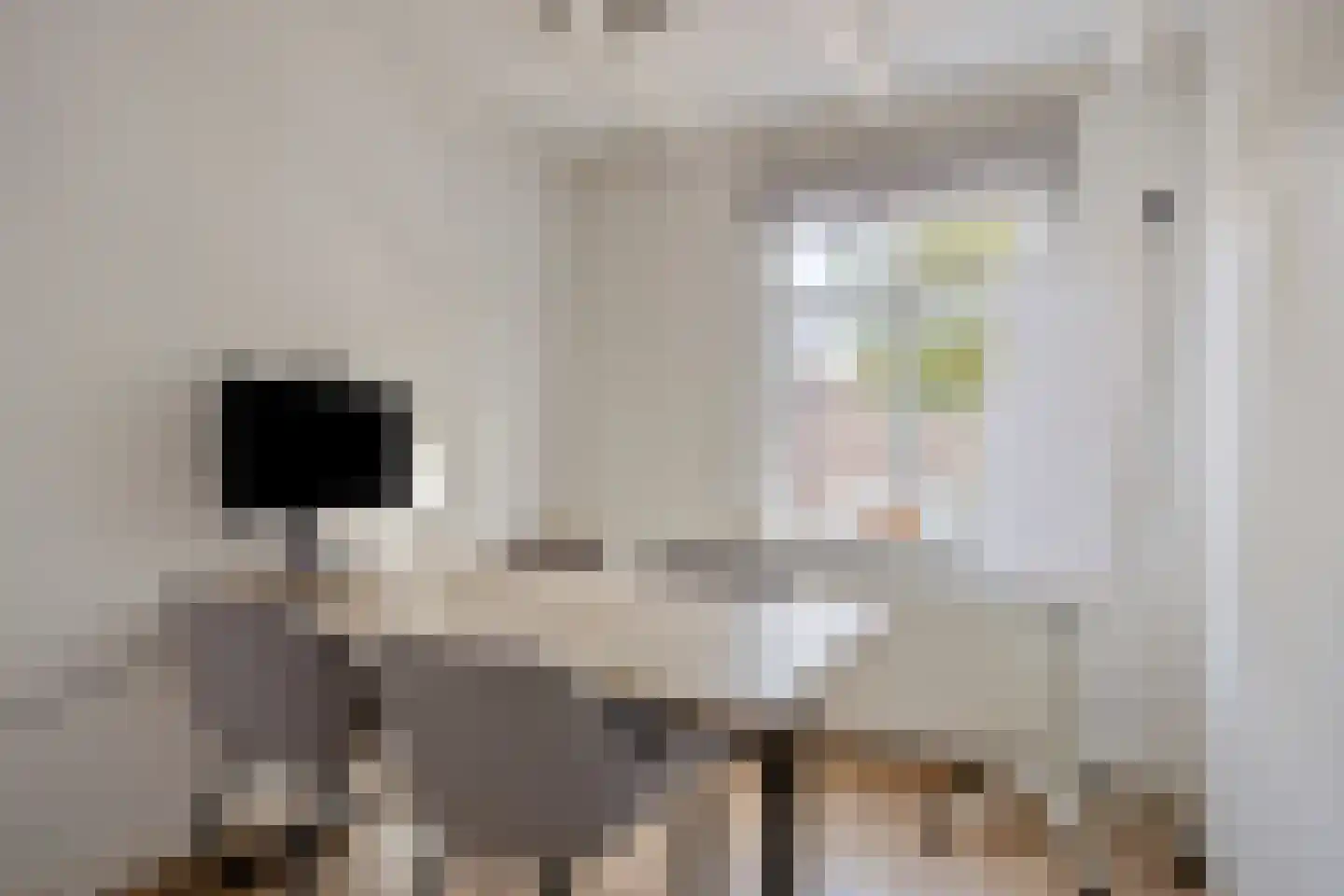 Voorstraat 31 Middelharnis thumbnail 17