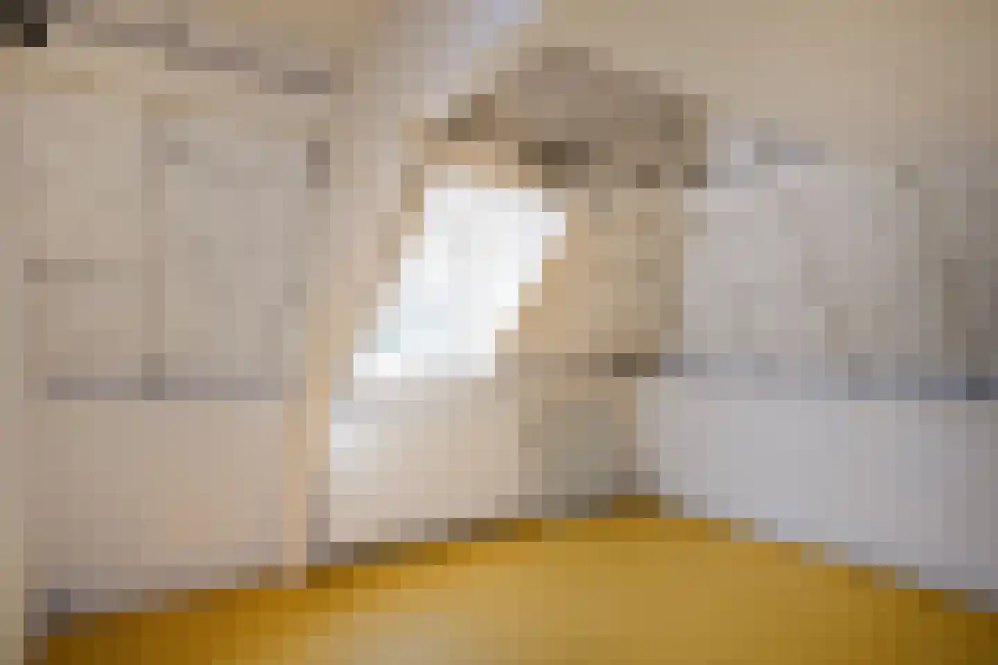 Voorstraat 31 Middelharnis thumbnail 21