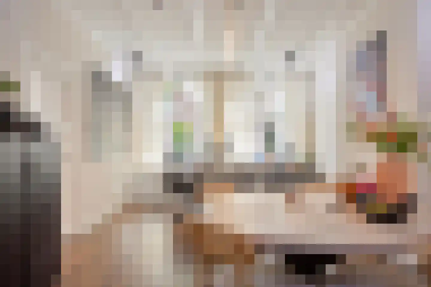 Voorstraat 31 Middelharnis thumbnail 4