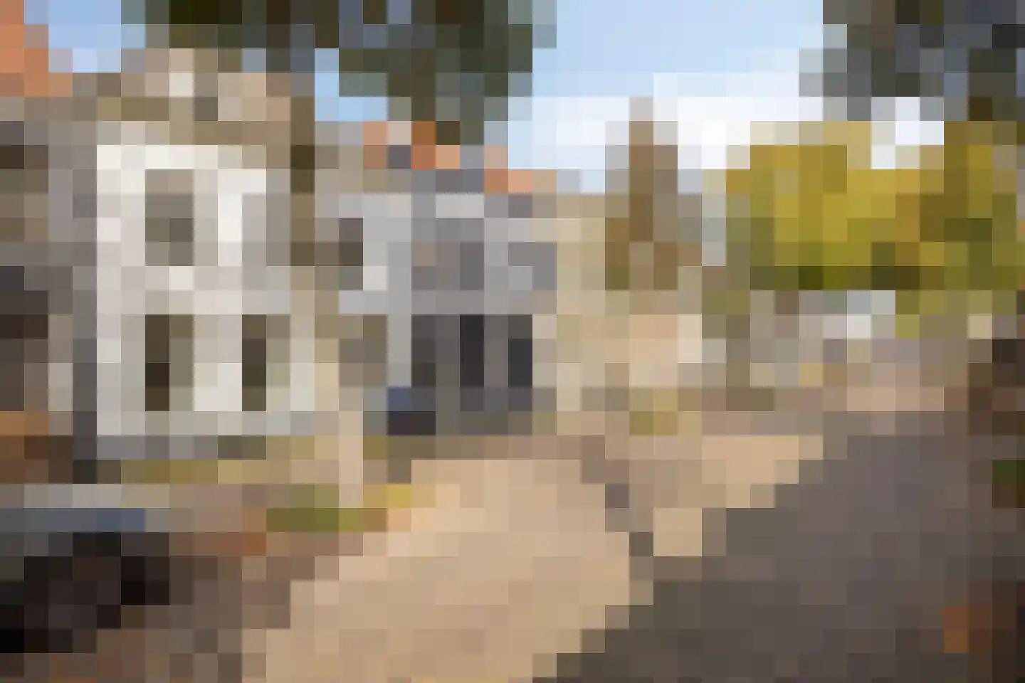 Voorstraat 31 Middelharnis thumbnail 8