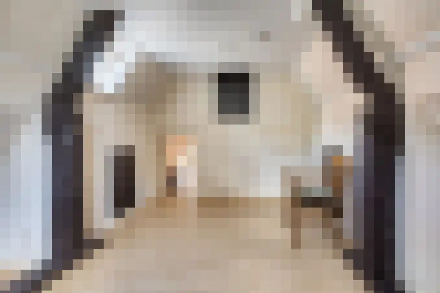 Voorstraat 32 Harlingen thumbnail 31