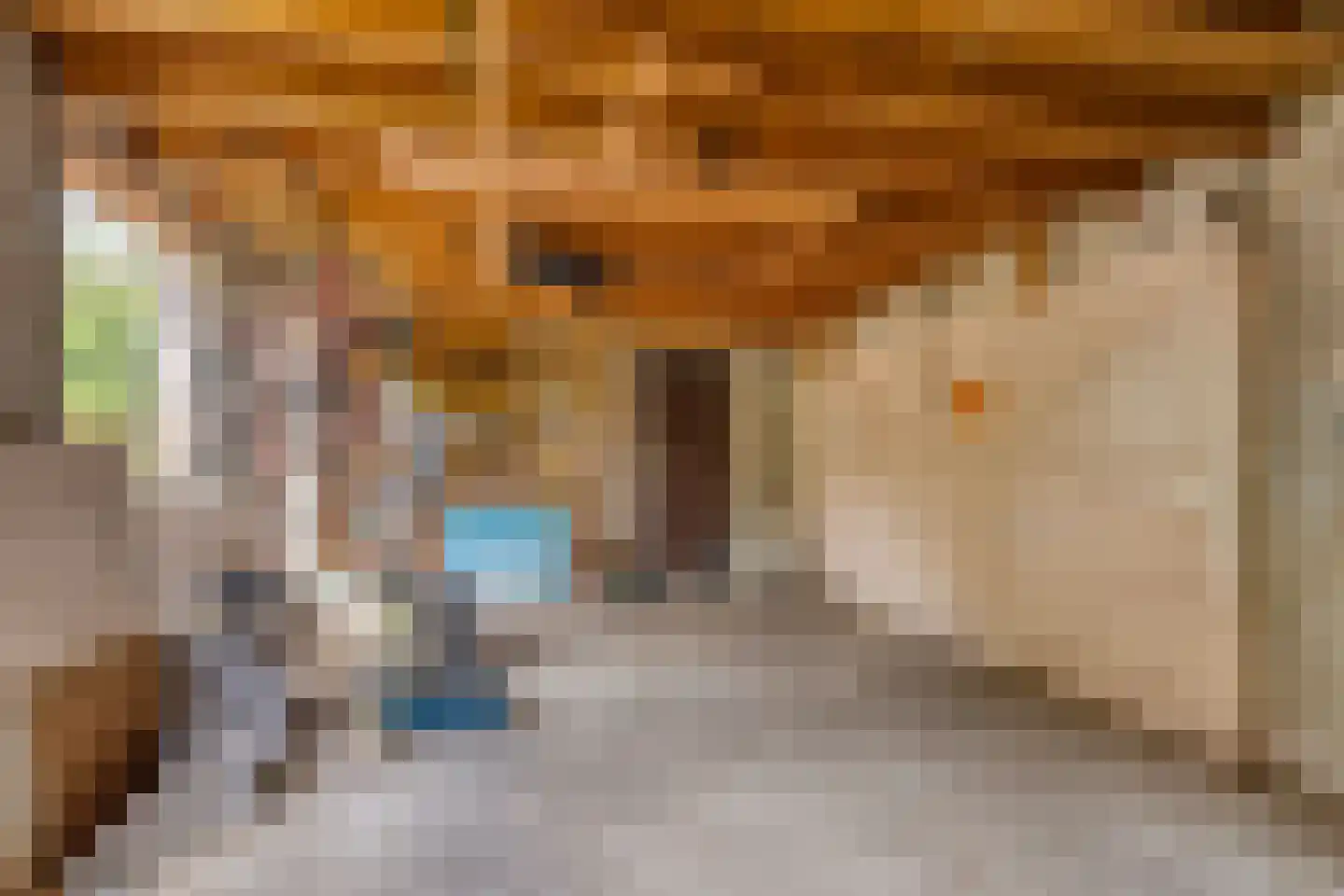 Voorstraat 32 Harlingen thumbnail 33