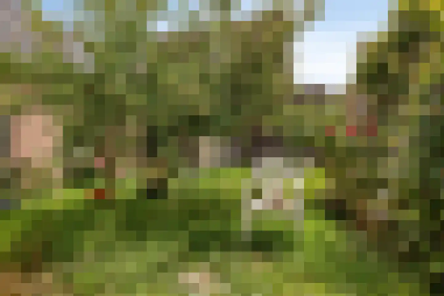 Voorstraat 32 Harlingen thumbnail 34