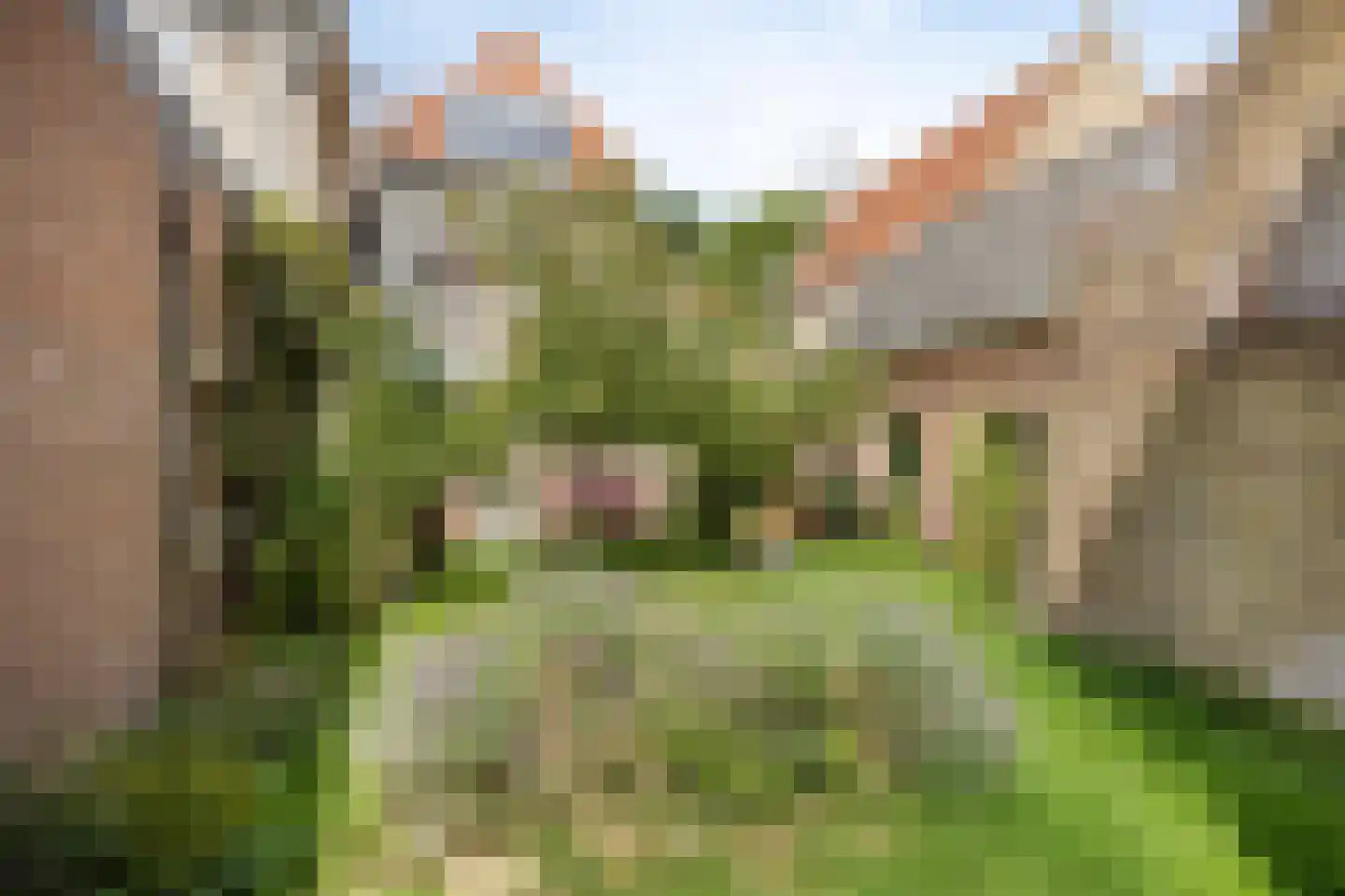 Voorstraat 32 Harlingen thumbnail 36