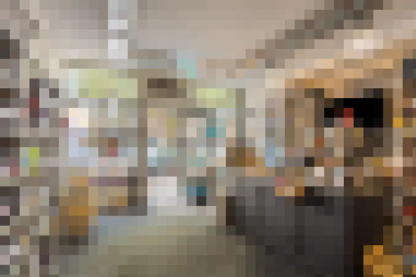 Voorstraat 32 Harlingen thumbnail 8