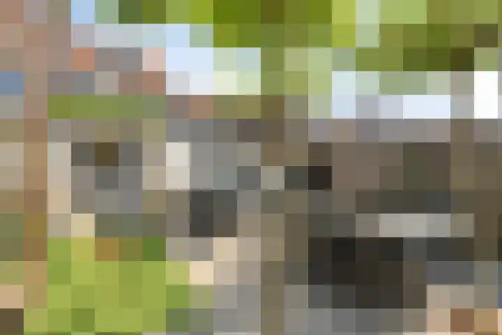 Voorstraat 32 Sint Philipsland thumbnail 4
