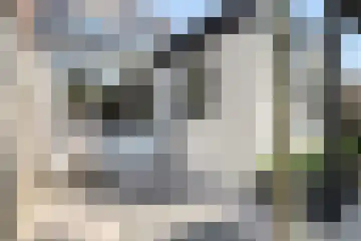 Voorstraat 32 Sint Philipsland thumbnail 41
