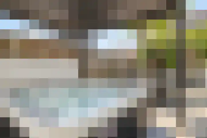 Voorstraat 32 Sint Philipsland thumbnail 43