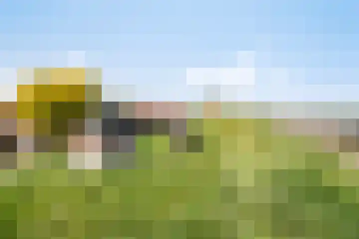 Voorstraat 32 Sint Philipsland thumbnail 50
