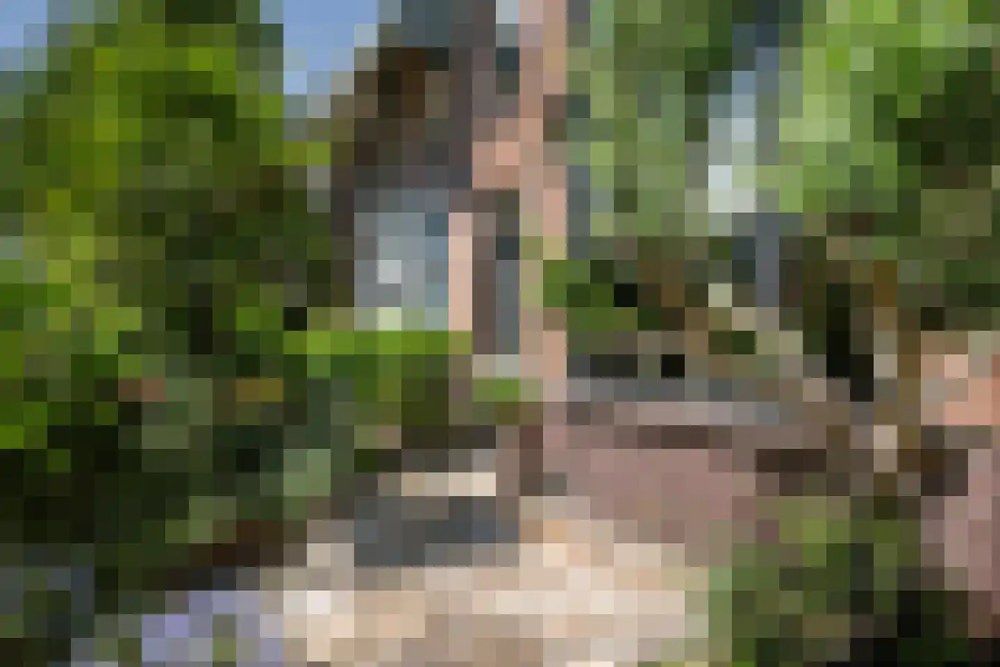 Voorstraat 32 Vlaardingen thumbnail 6