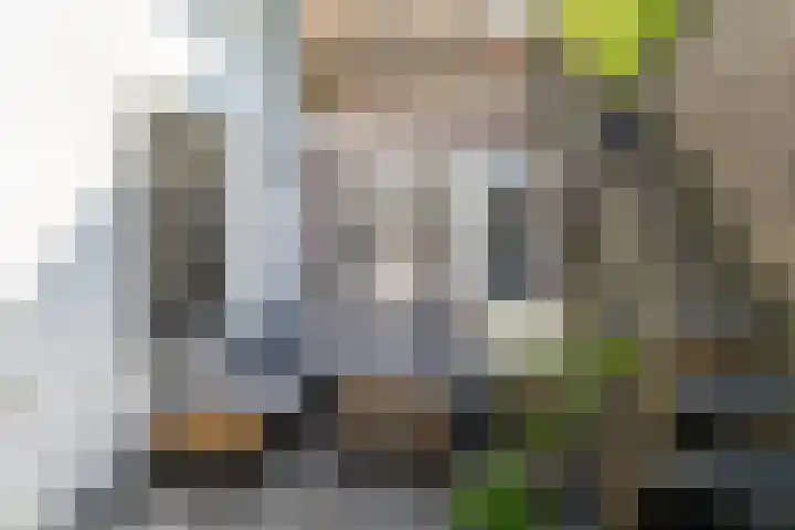 Voorstraat 33 Delft thumbnail 21