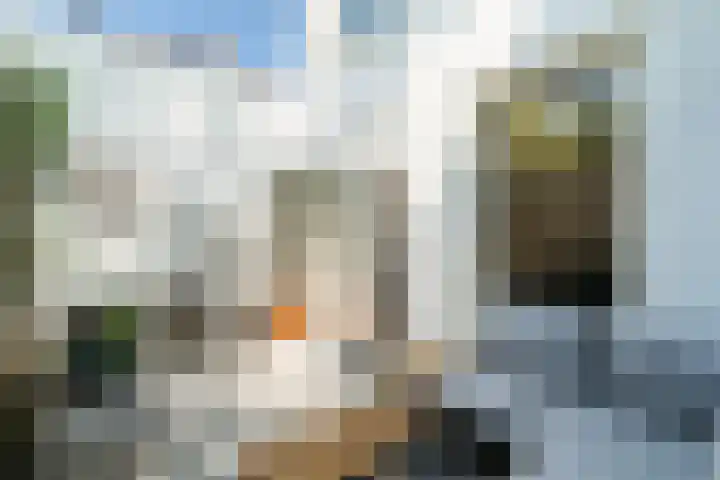 Voorstraat 33 Delft thumbnail 22