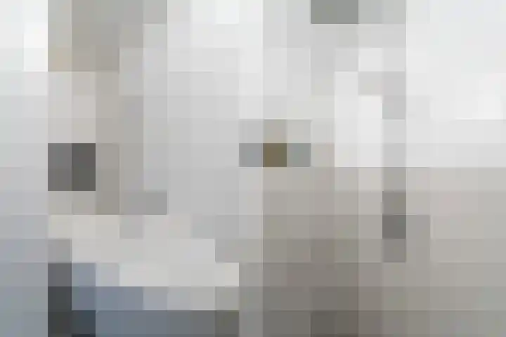 Voorstraat 33 Delft thumbnail 33