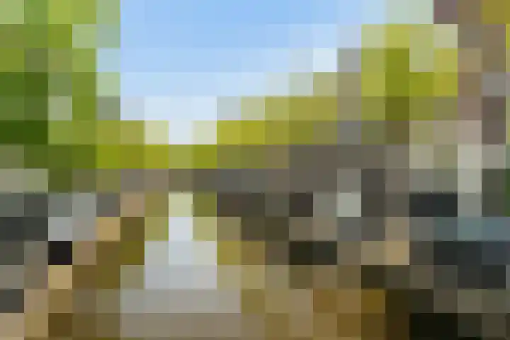 Voorstraat 33 Delft thumbnail 5