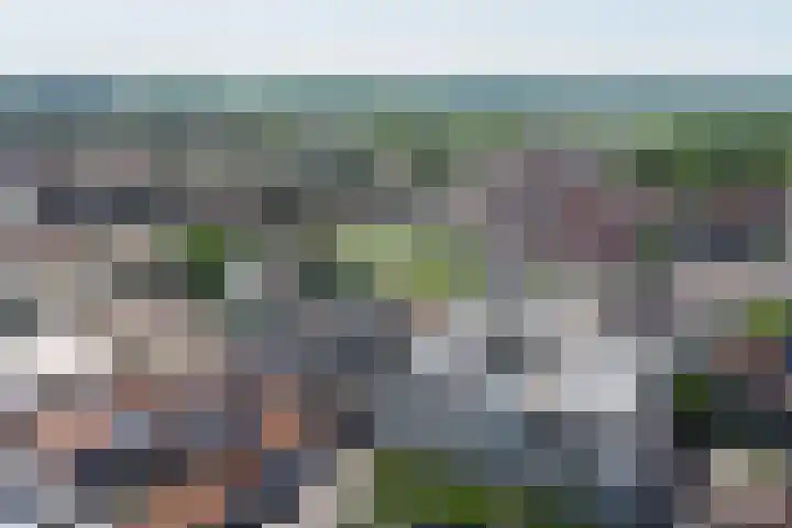Voorstraat 33 Wissenkerke thumbnail 43