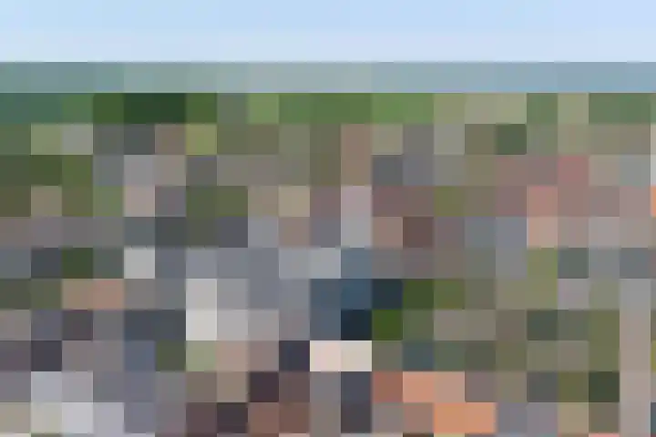 Voorstraat 33 Wissenkerke thumbnail 44