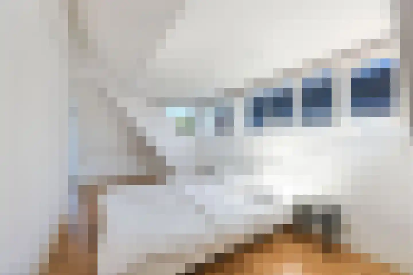 Voorstraat 34 B Wijk aan Zee thumbnail 13