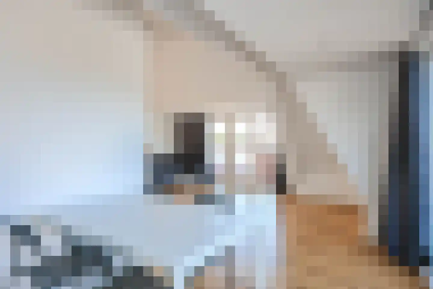 Voorstraat 34 B Wijk aan Zee thumbnail 9