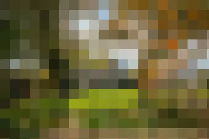 Voorstraat 34 Lienden thumbnail 25