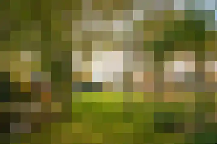 Voorstraat 34 Lienden thumbnail 28
