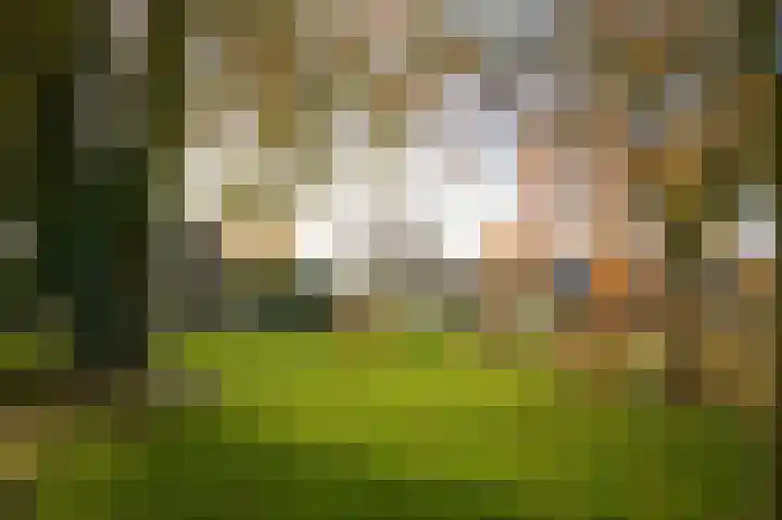 Voorstraat 34 Lienden thumbnail 29