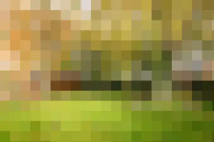 Voorstraat 34 Lienden thumbnail 30