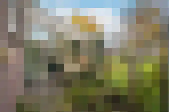 Voorstraat 34 Lienden thumbnail 32