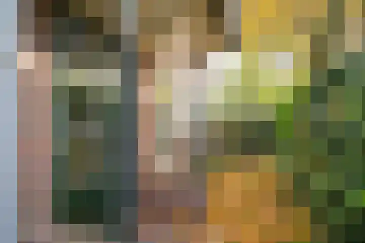 Voorstraat 34 Lienden thumbnail 35