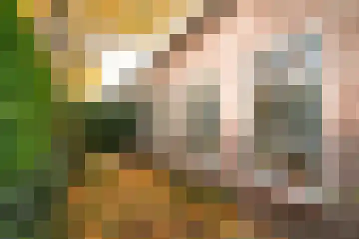 Voorstraat 34 Lienden thumbnail 36