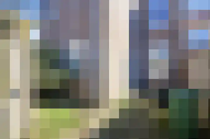 Voorstraat 34 Wijk aan Zee thumbnail 19