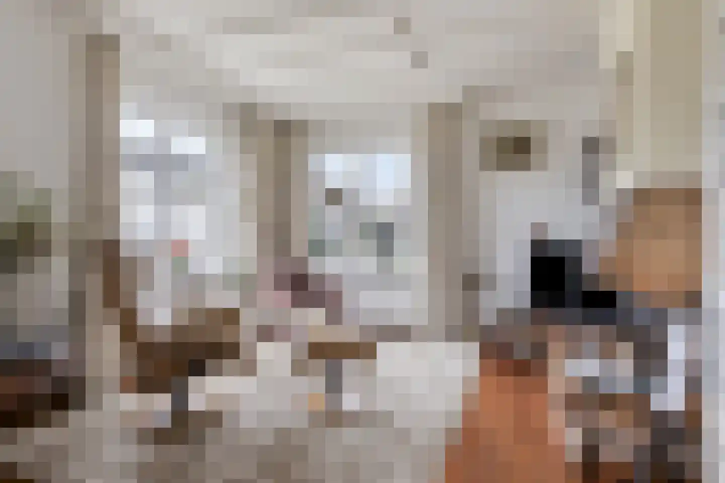 Voorstraat 35 Ammerzoden thumbnail 12