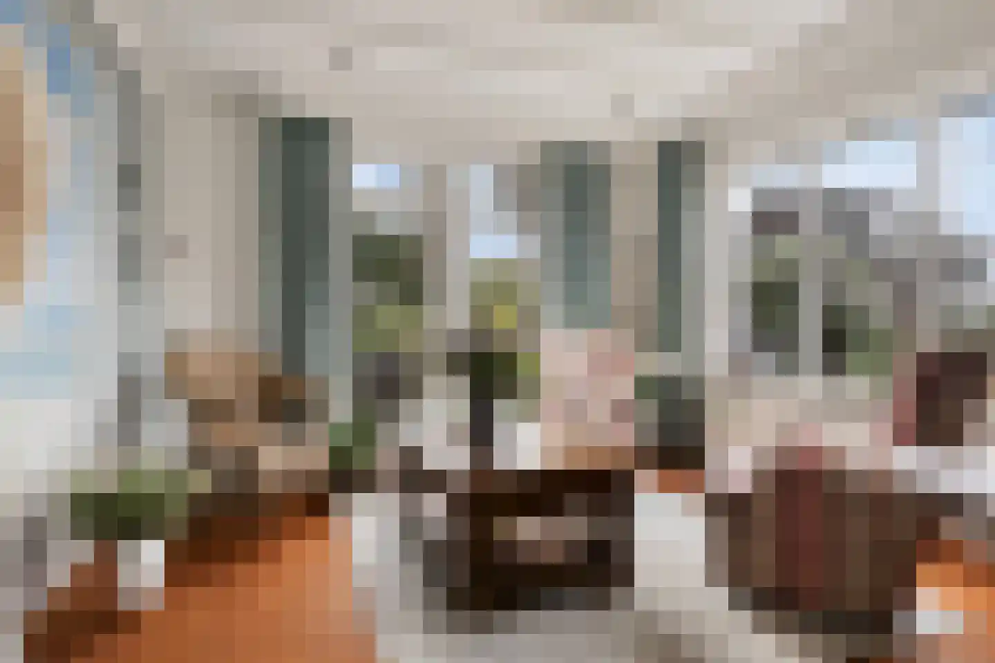 Voorstraat 35 Ammerzoden thumbnail 14