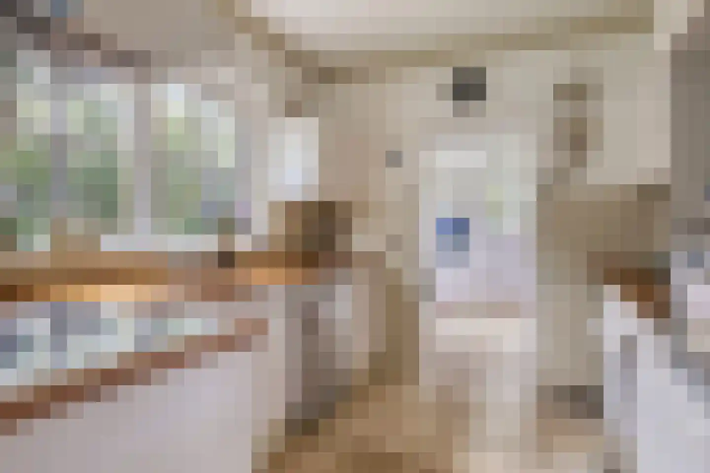 Voorstraat 35 Ammerzoden thumbnail 18