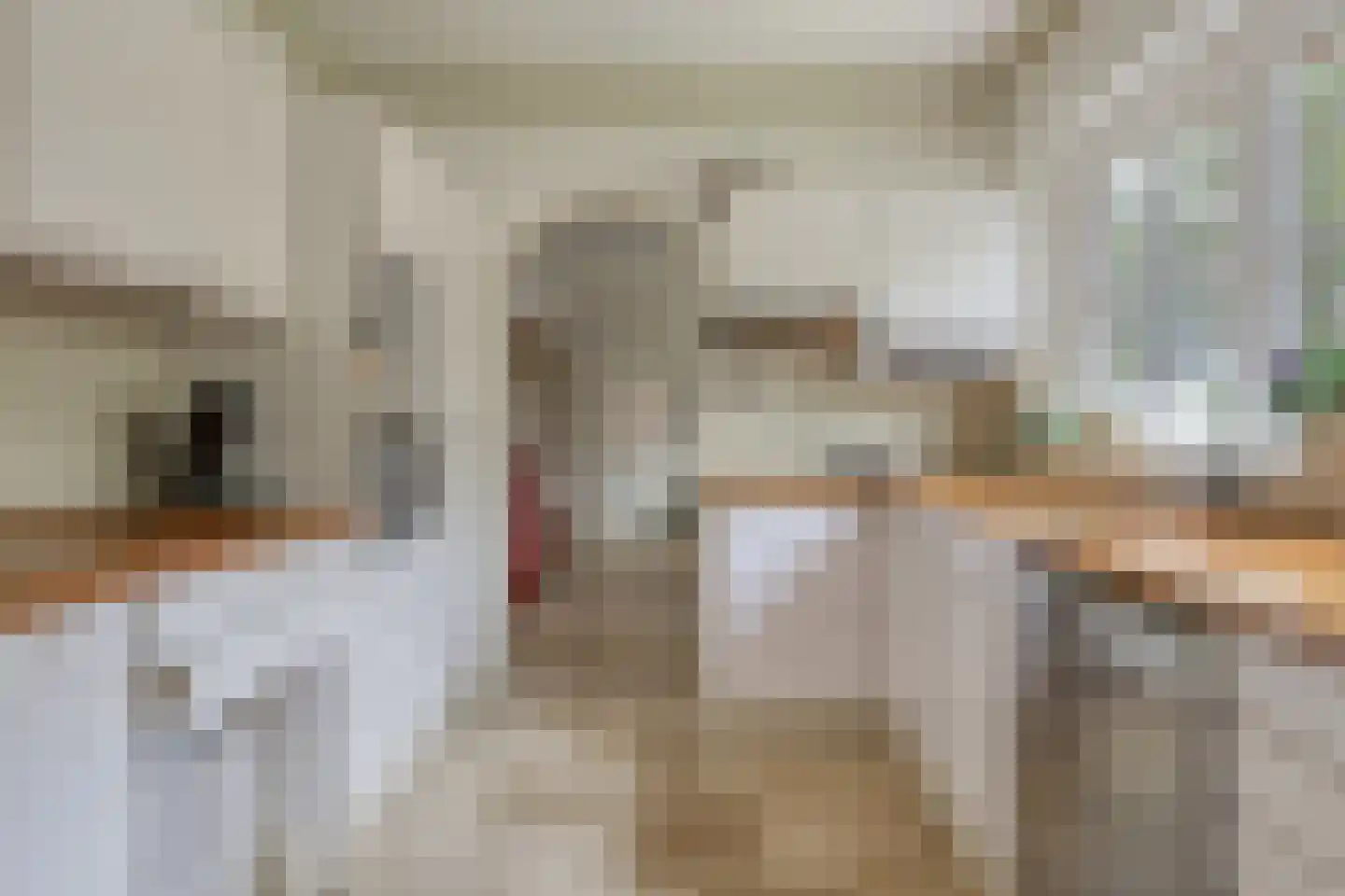 Voorstraat 35 Ammerzoden thumbnail 19
