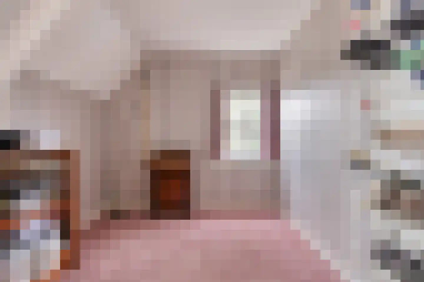 Voorstraat 35 Ammerzoden thumbnail 23
