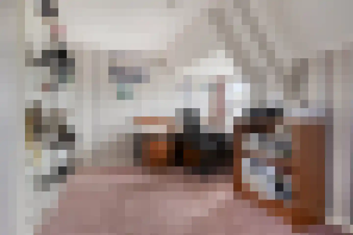 Voorstraat 35 Ammerzoden thumbnail 24