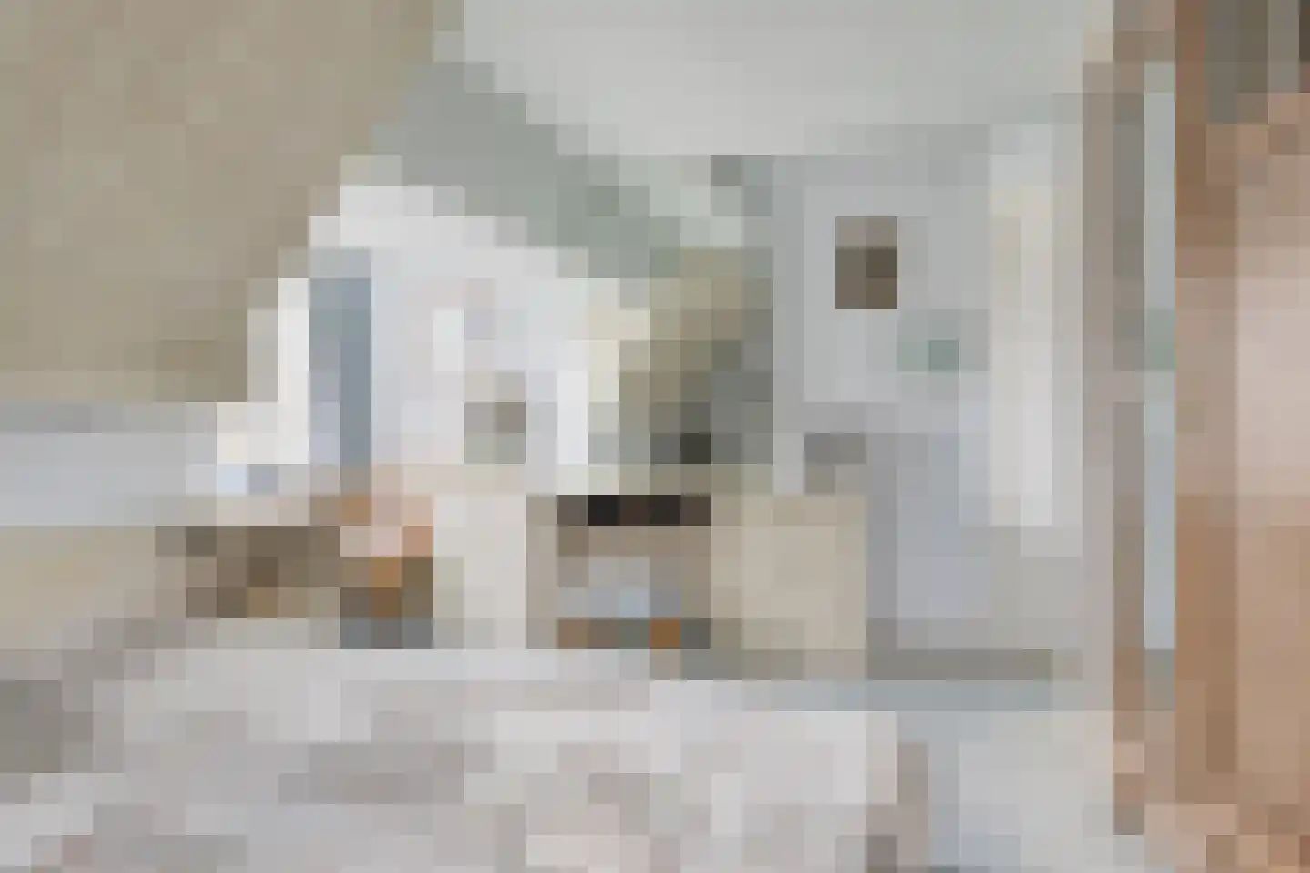 Voorstraat 35 Ammerzoden thumbnail 27