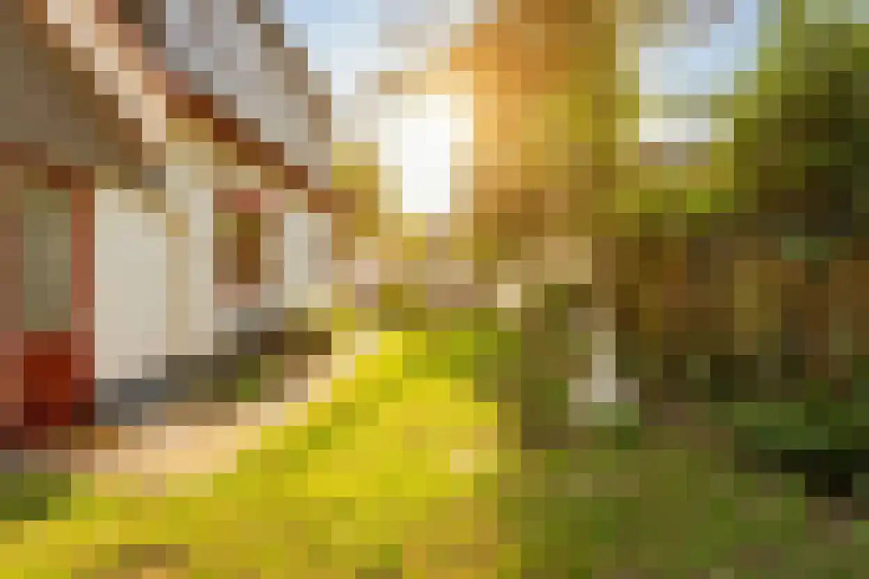 Voorstraat 35 Ammerzoden thumbnail 32