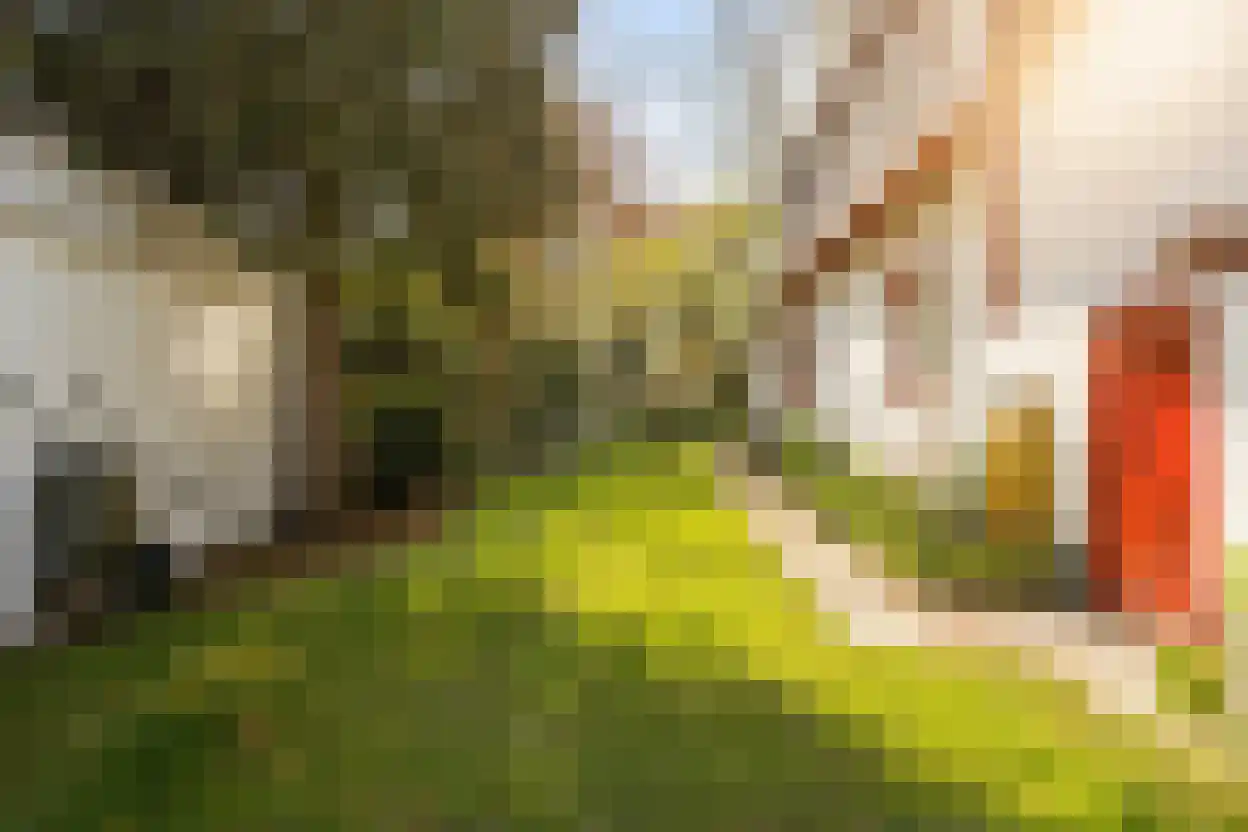 Voorstraat 35 Ammerzoden thumbnail 34