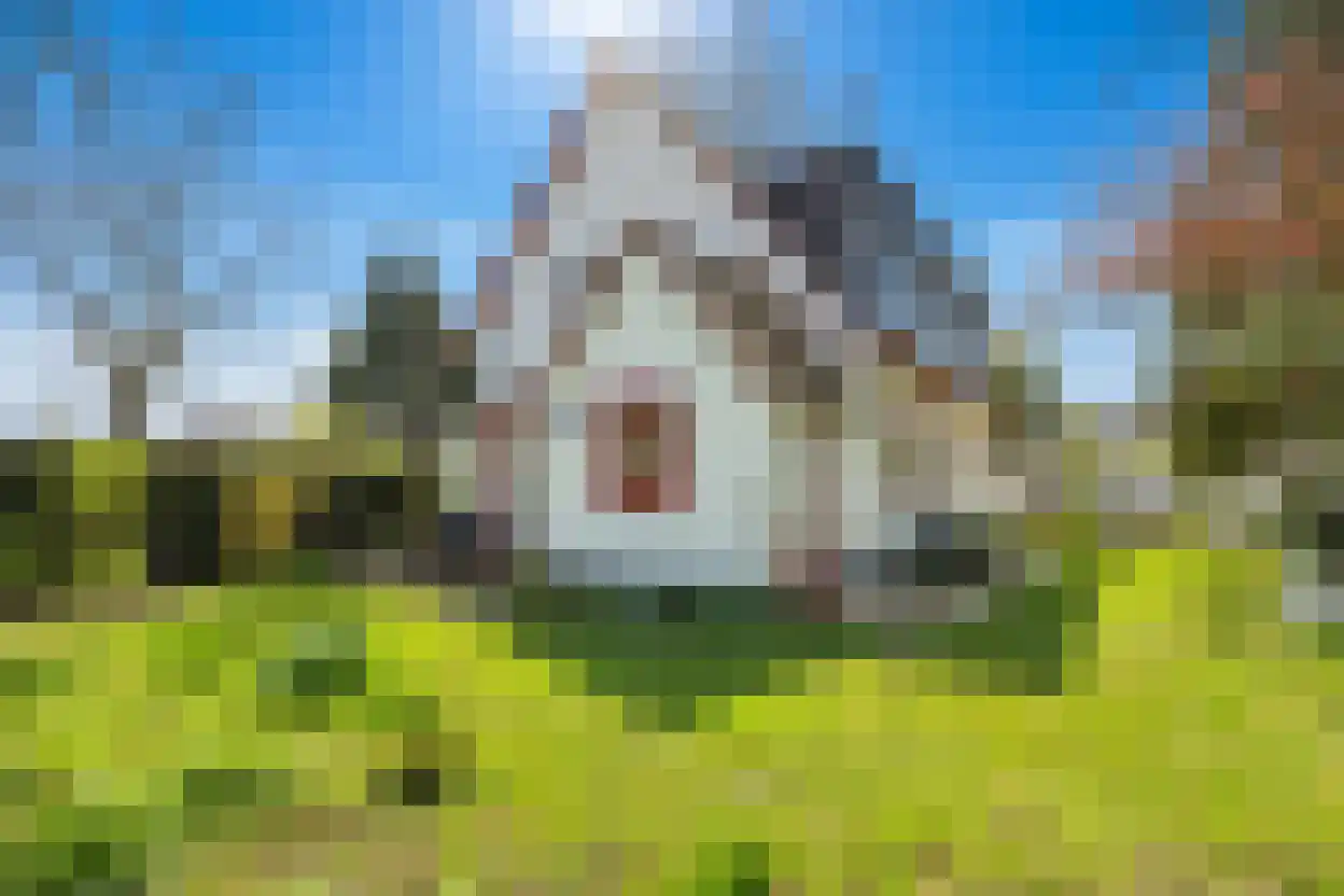 Voorstraat 35 Ammerzoden thumbnail 37