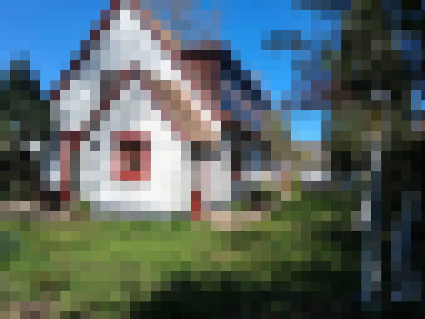 Voorstraat 35 Ammerzoden thumbnail 40