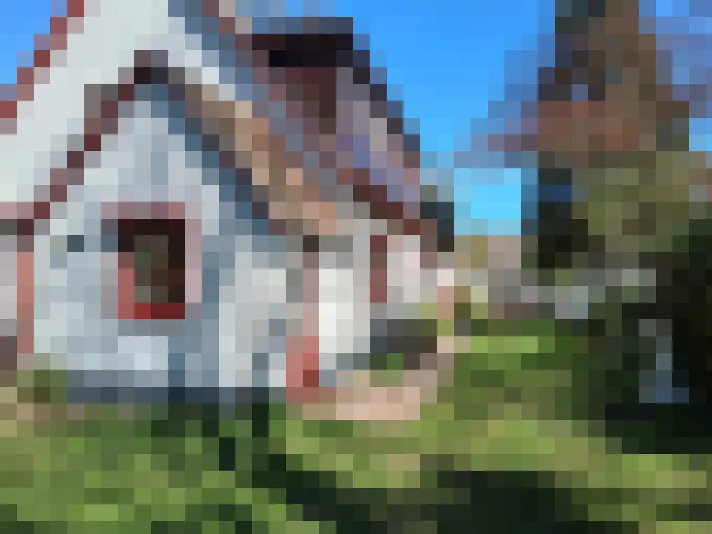 Voorstraat 35 Ammerzoden thumbnail 42