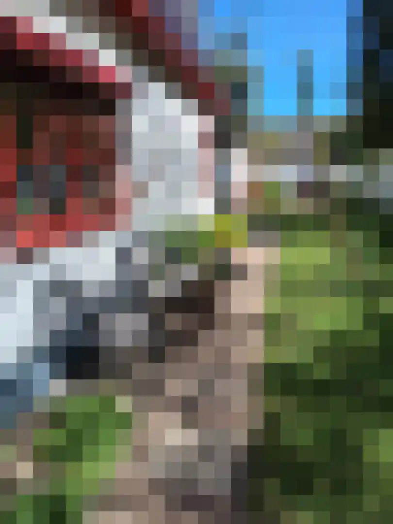 Voorstraat 35 Ammerzoden thumbnail 44