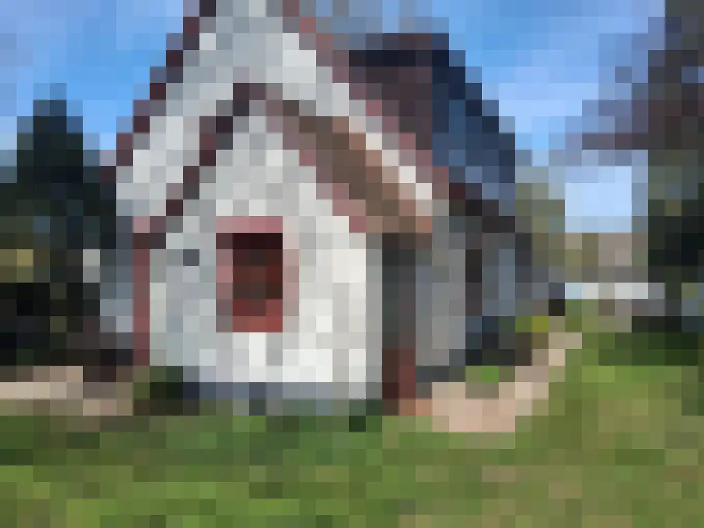 Voorstraat 35 Ammerzoden thumbnail 46
