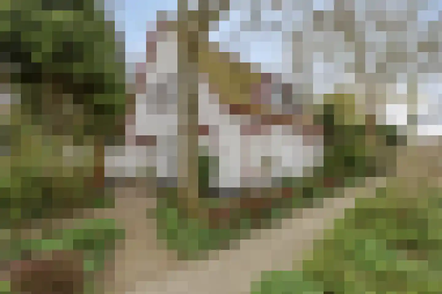 Voorstraat 35 Ammerzoden thumbnail 5