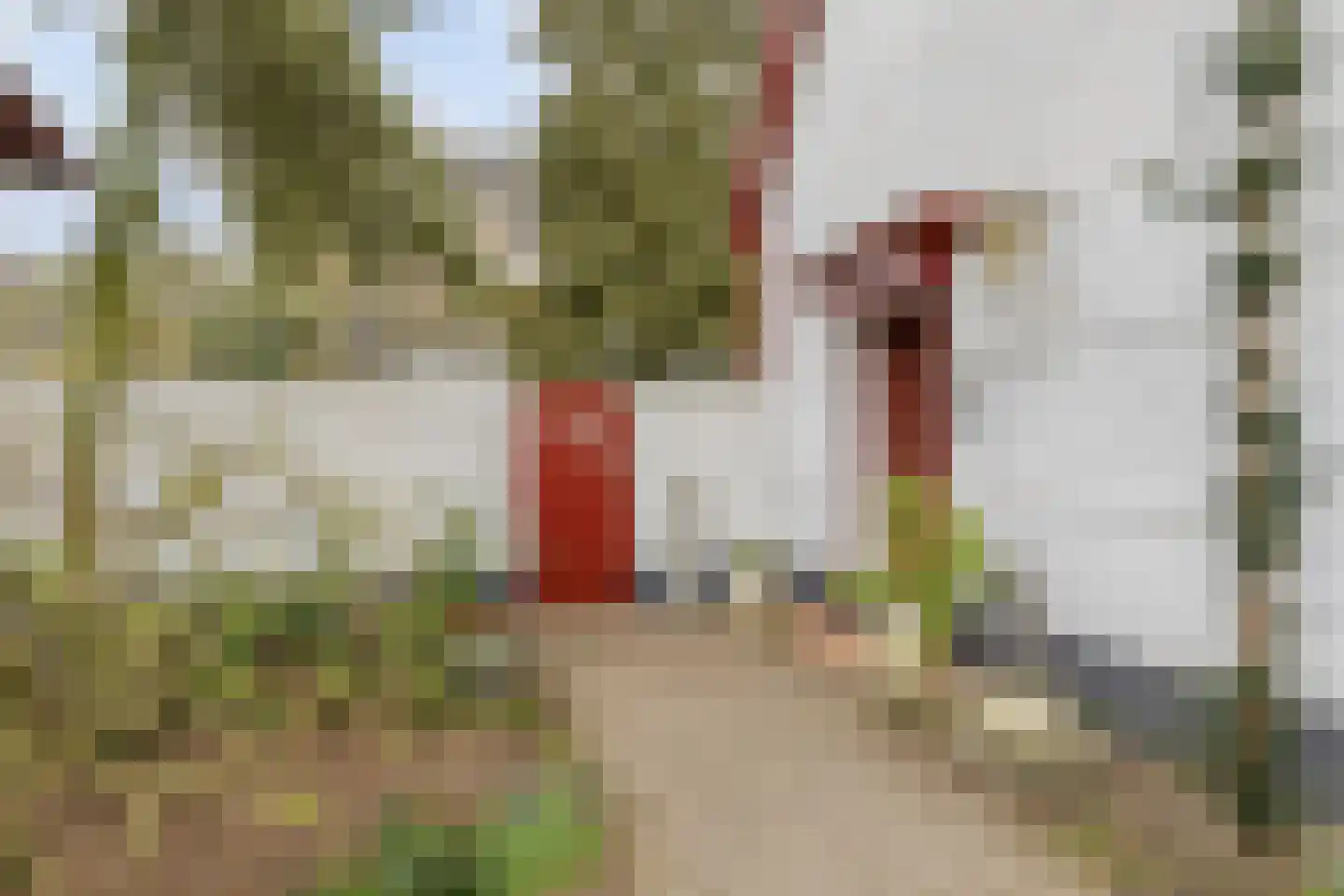 Voorstraat 35 Ammerzoden thumbnail 7