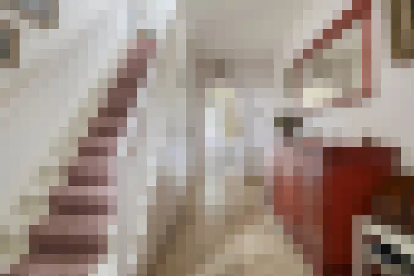 Voorstraat 35 Ammerzoden thumbnail 8