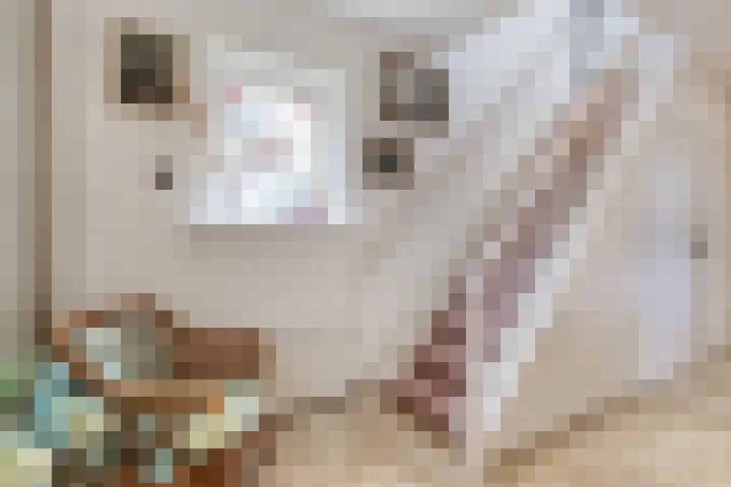 Voorstraat 35 Ammerzoden thumbnail 9