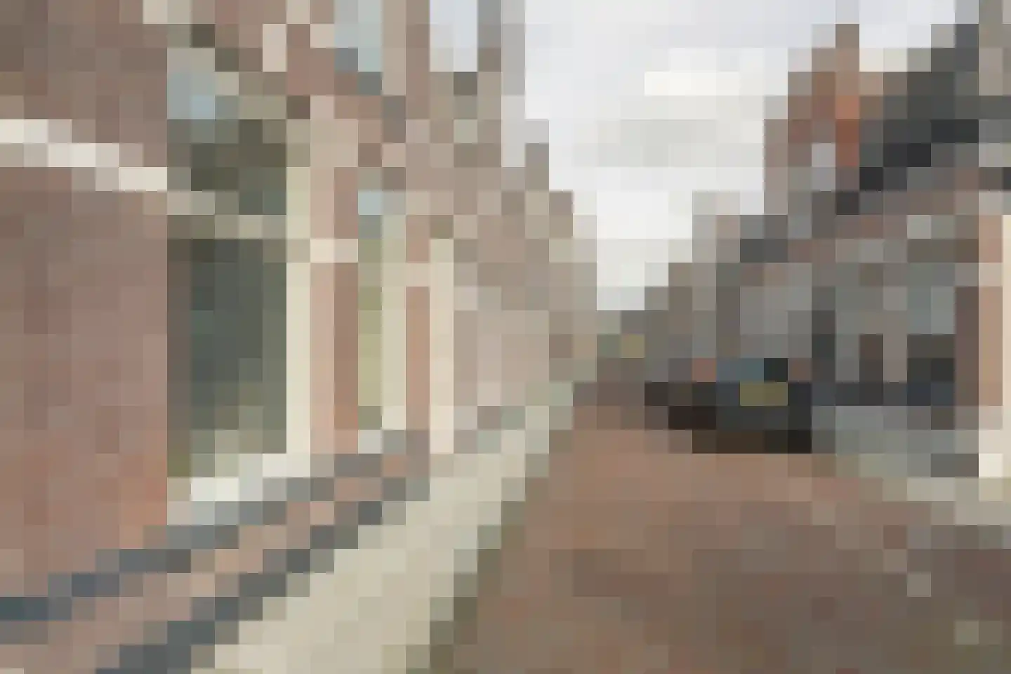Voorstraat 35 Meppel thumbnail 37